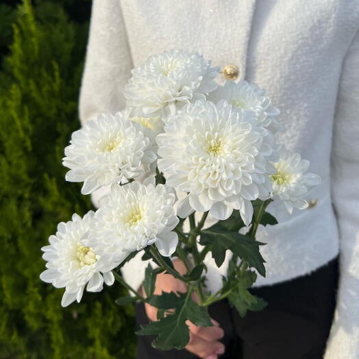 Buyr Flowers