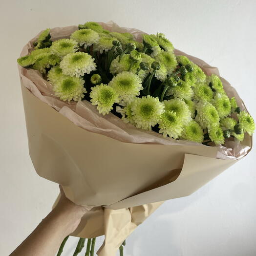 Primaflora 