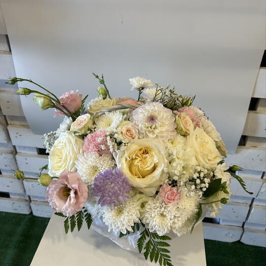 Terra flowers 