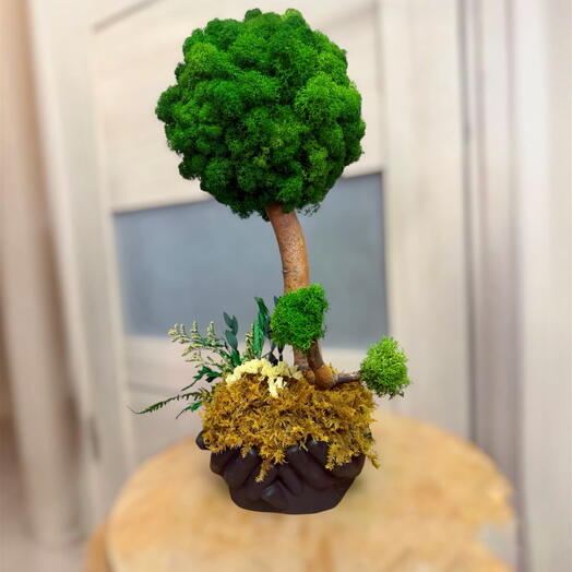  MossLaB
