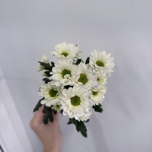 ЕСТЬ ПОВОД 