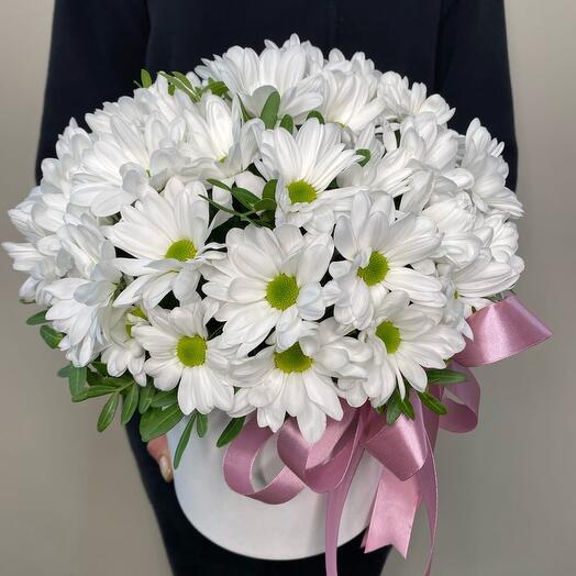 Daisies in a box