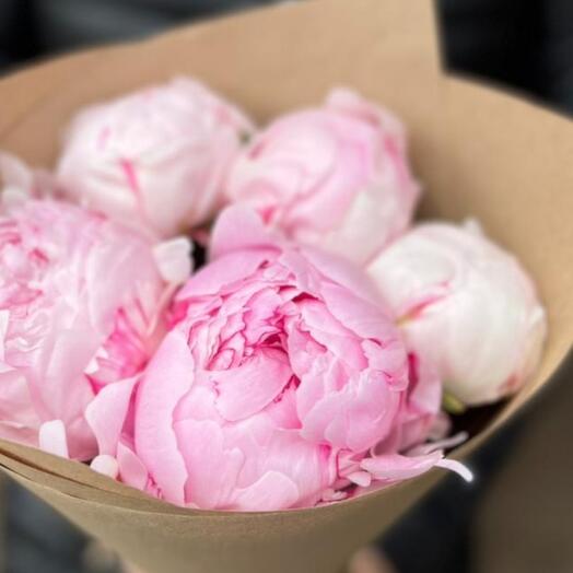 5 ароматных пионов  💗