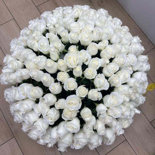 rose in the basket