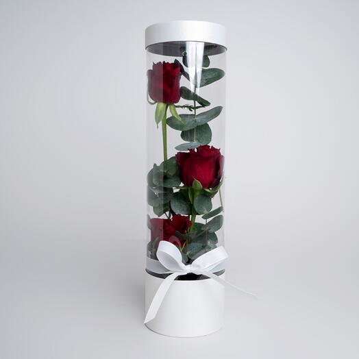 Red Roses And Eucalyptus Bottle