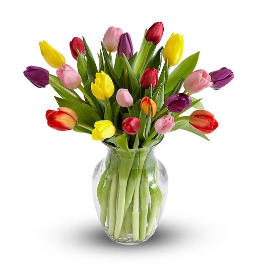 Mix Tulips in a Designer Glass Vase
