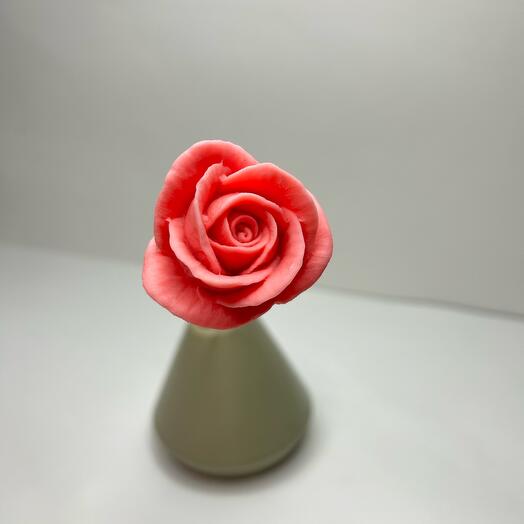 Rosa Carolina
