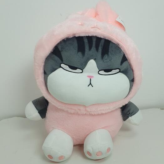 Котик
