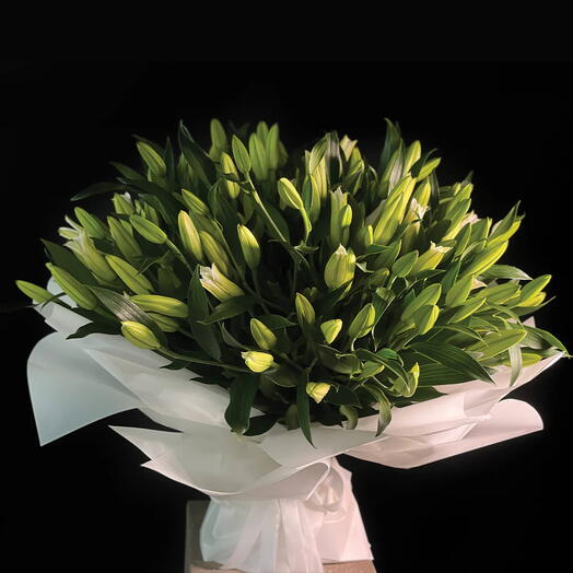 55 Lilies Misty