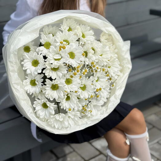 Букет из ромашек на День Знаний