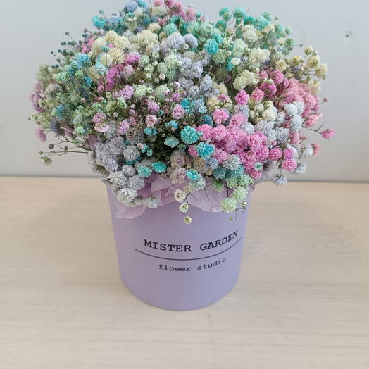 MISTER GARDEN