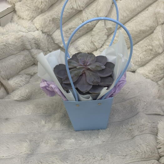 Oze flowers 