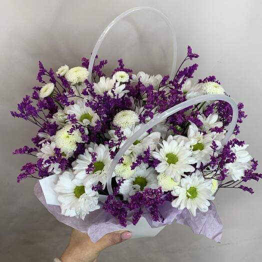 Brassica 