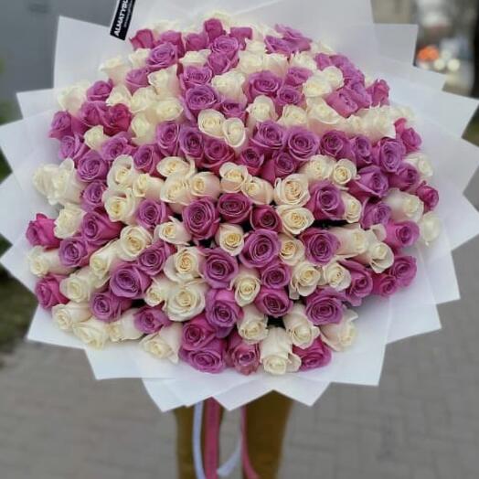 151 роза