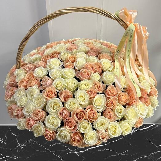 201 white roses in a wicker basket