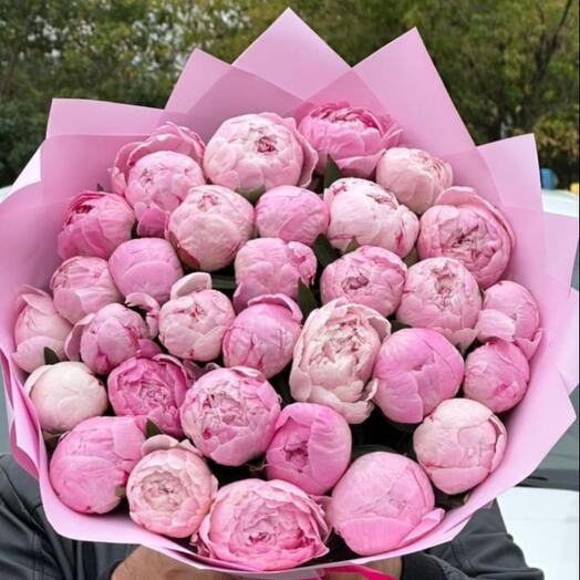Spring peonies