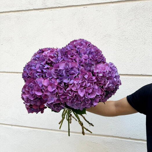 Ramo de hortensias morada