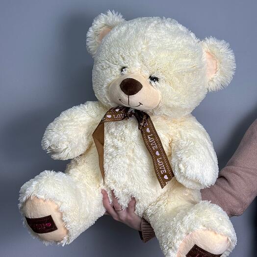 Teddy bear
