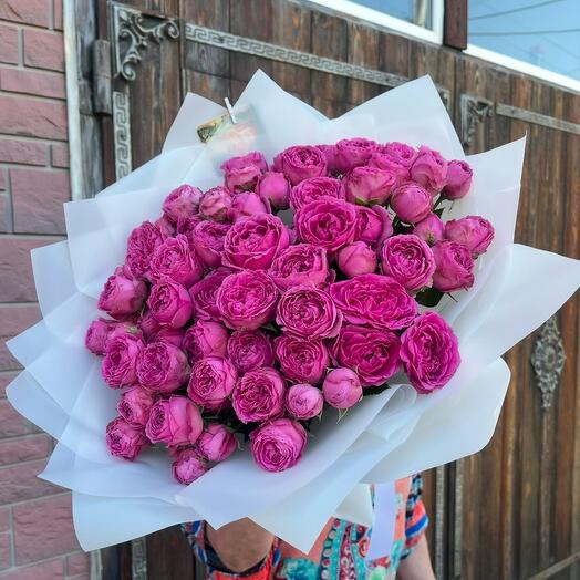 Мисти баблз