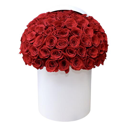 Luxury 66 Red Rose Box