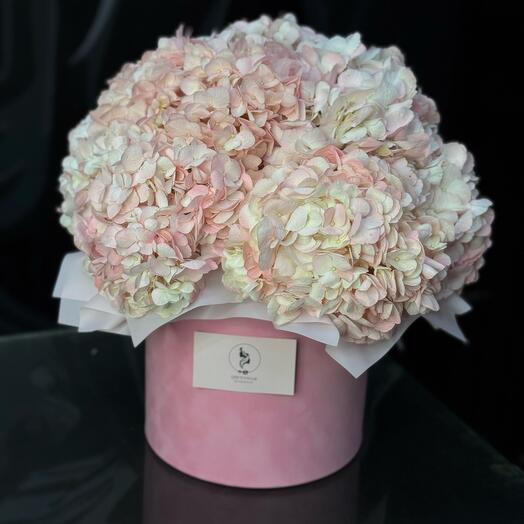 Гортензии в коробке