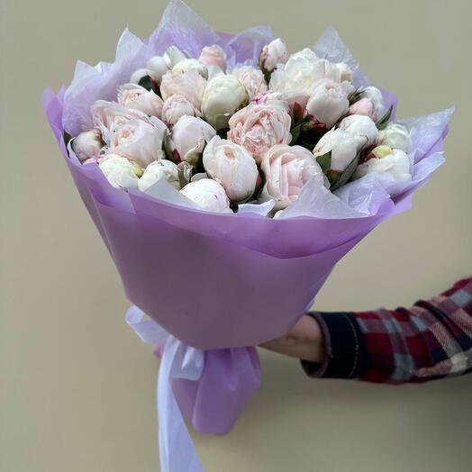 35 Пионов микс -Мазерс Чойс и Сара Бернар