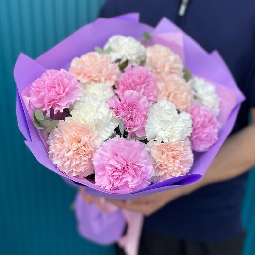 Dianthus tierna 15piezas