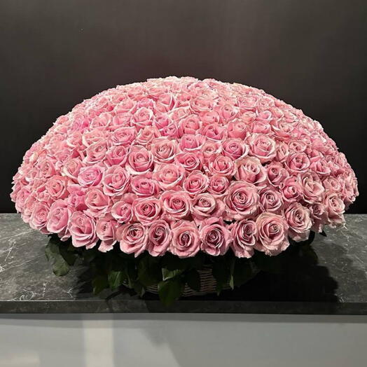 Rose Love ❤️