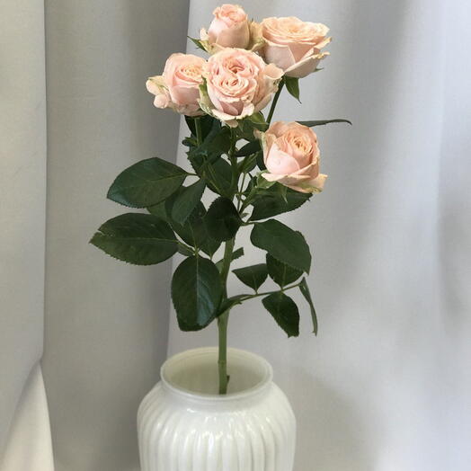 SELENA flowers