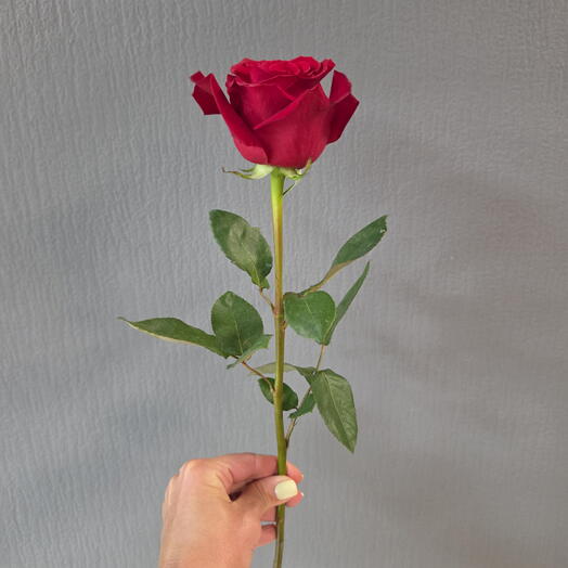 Duty Free Flowers na Mayakovskogo