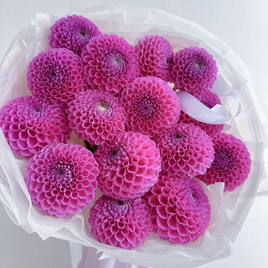 Why Not Flowers