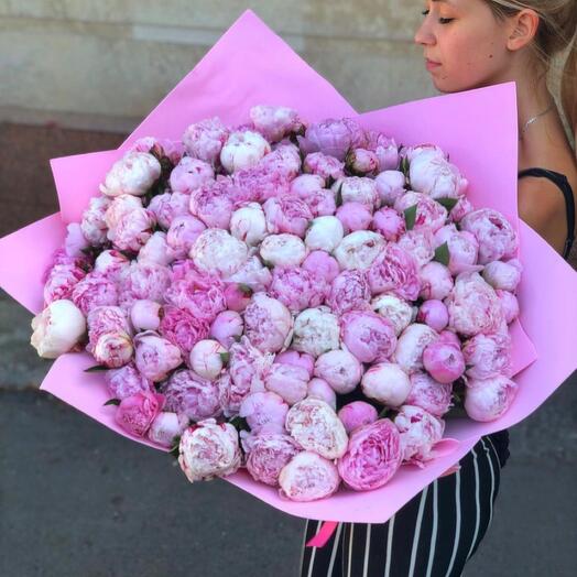 101 голландский пион