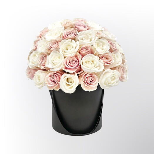 Graceful Bloom: Creamy White and Light Pink Roses in a Black Box - 1