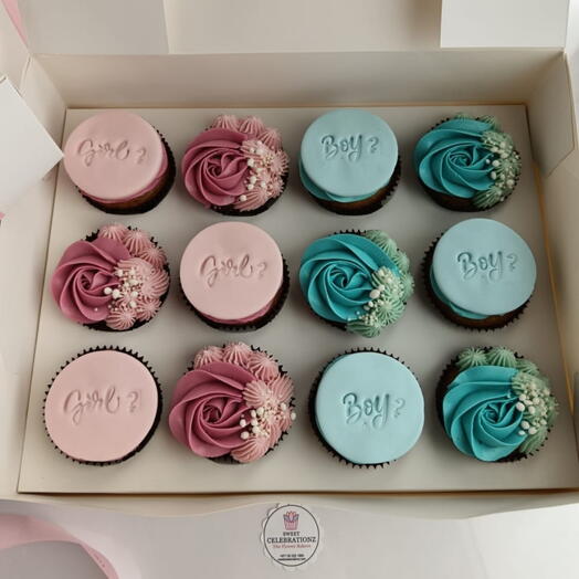 Boy or Girl Cupcakes Box