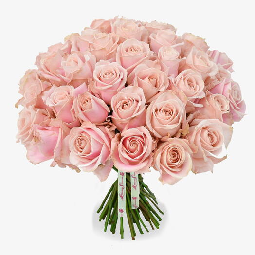 50 Pink Roses