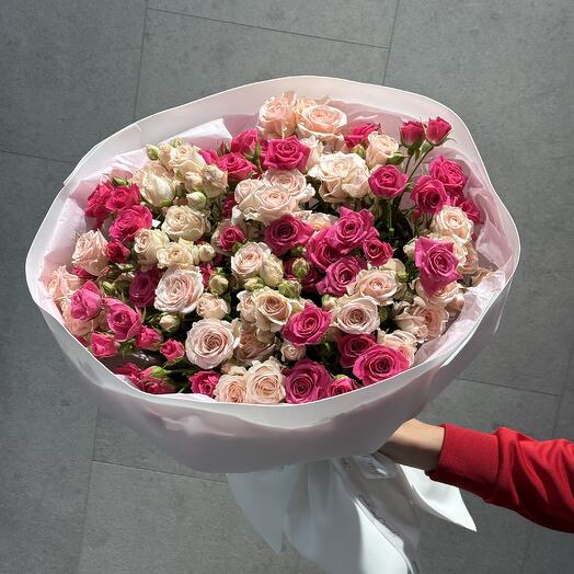 Rosas arbustivas