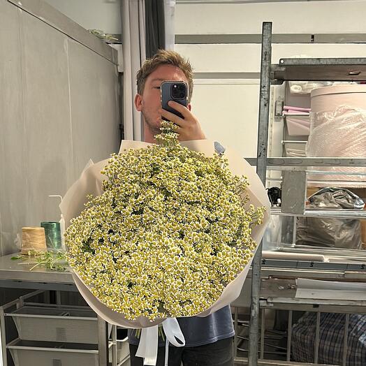 Bouquet de Tanacetum