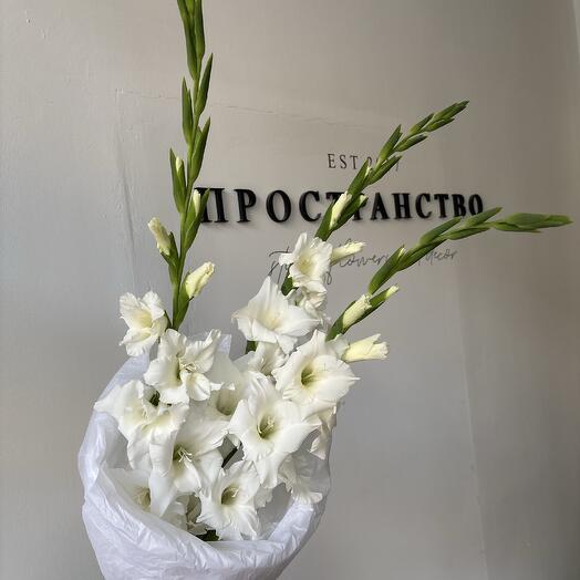 Моно из белых гладиолусов🤍