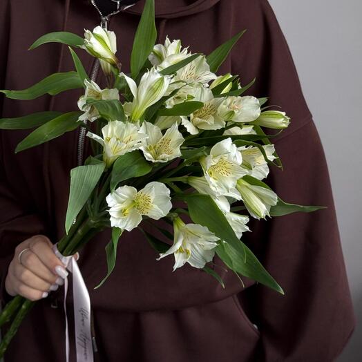 Альстромерия под ленту🌸