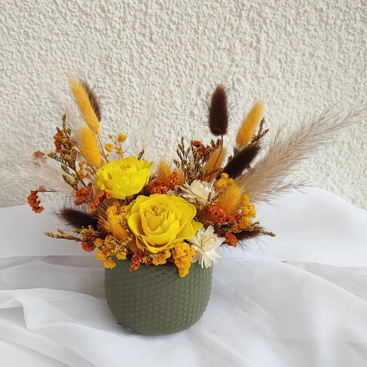 NOT Flowers