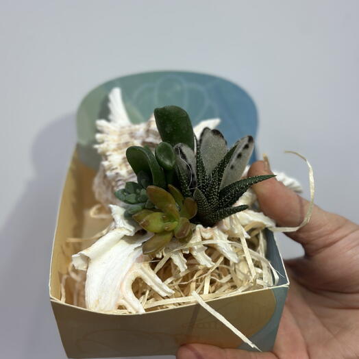 FloWers24