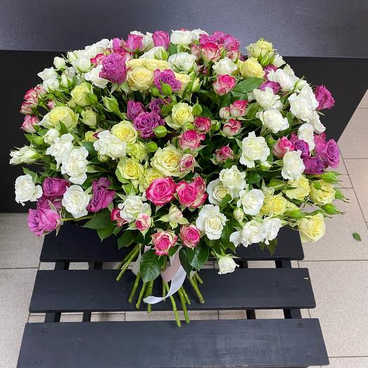 Arma Flowers 