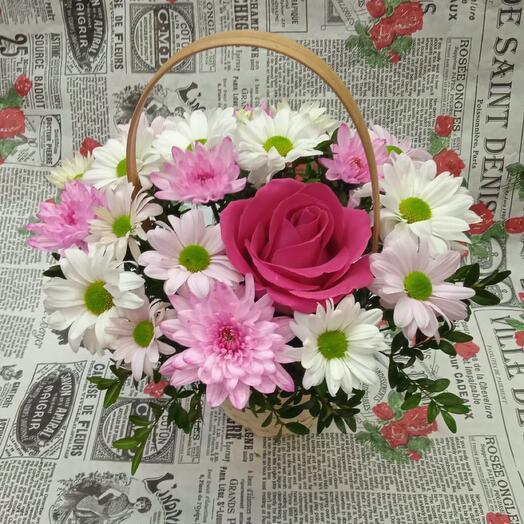 La rose