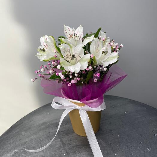 A bouquet is a compliment without a reason