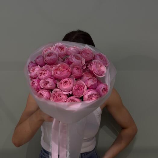 Silva Pink