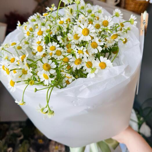 Полевой букет с ромашками