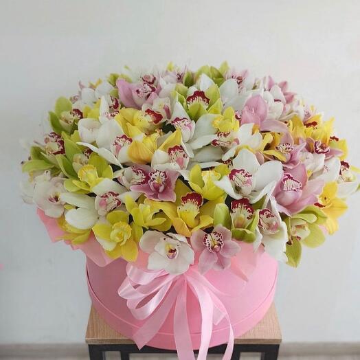Orquídea en Caja