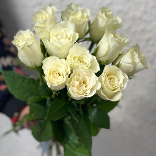 11 rosas
