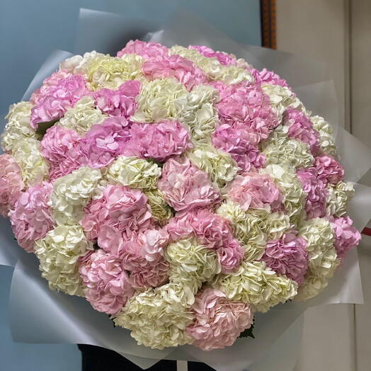 Bouquet of 51 mixed hydrangeas