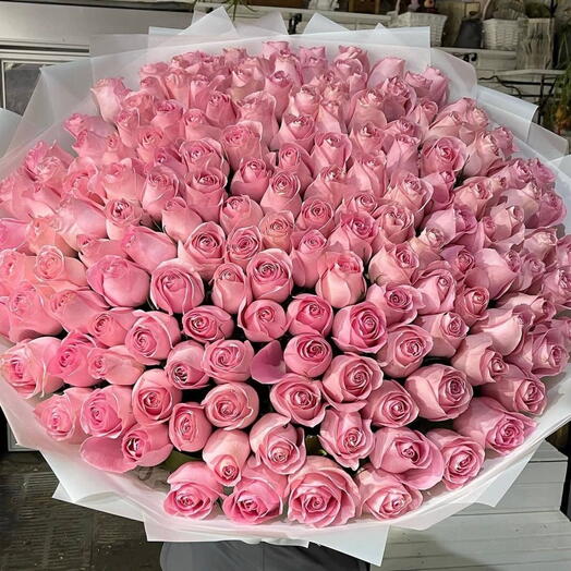 151 pink rose